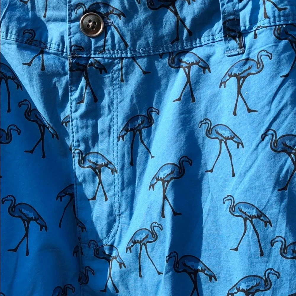 Trunks Surf & SwimCo Deep Water Luca Poplin men’s  Shorts size 36 new with tags